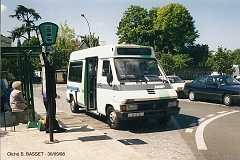569_basset_1