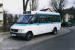 569_basset_3