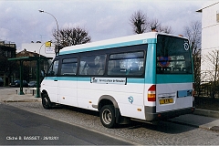 569_basset_4