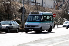 TIM_IMG_6880