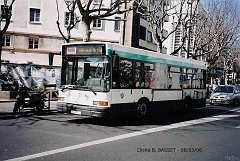 571_basset_2