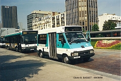 576_basset_4