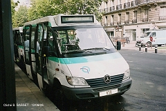 576_basset_5