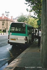 576_basset_6