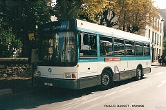 589_basset_1