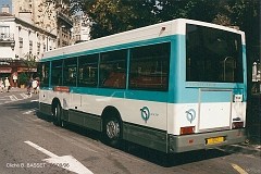 589_basset_2