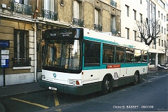 589_basset_3