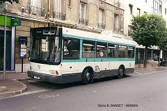 589_basset_4