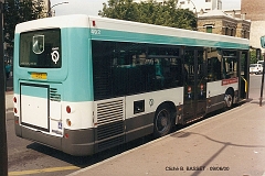 589_basset_6