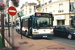 589_basset_7