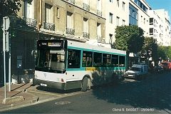 589_basset_8